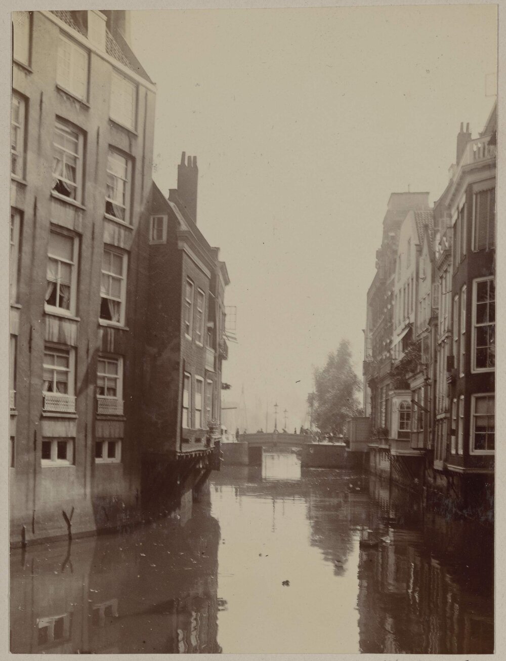 A characteristic bit of Rotterdam