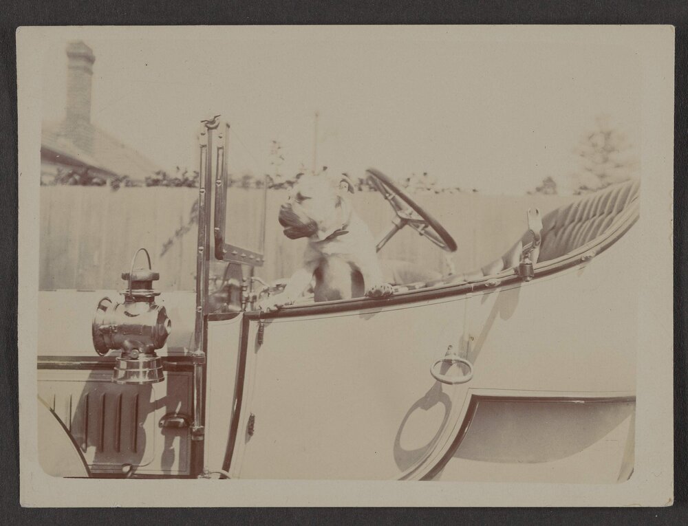 [Caesar in motor car]