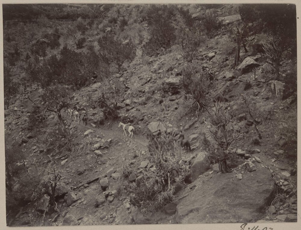 Descending Bright Angel Trail