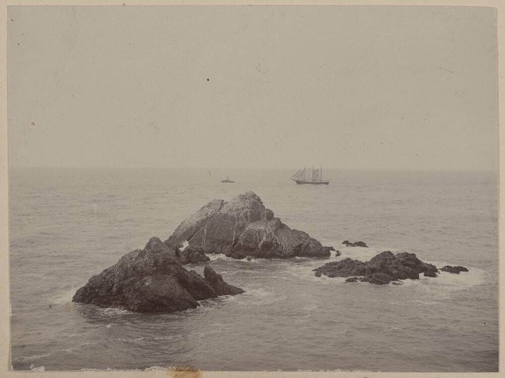 Seal Rocks from Cliff House