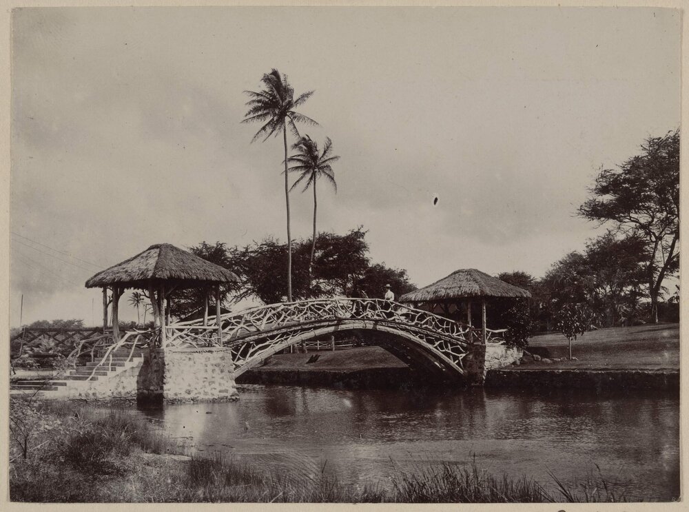 Haleiwa Hotel Gardens, Waialua, Oahu