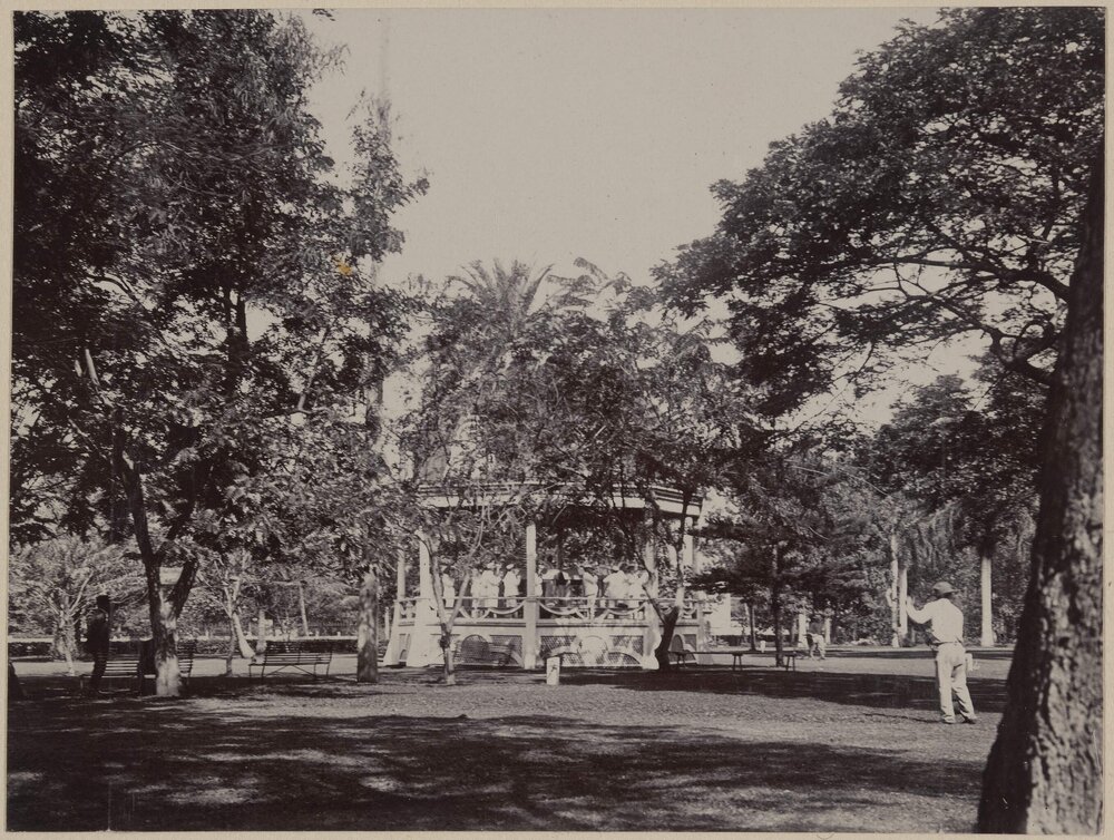 Native Band in The Palace Gardens, Honolulu