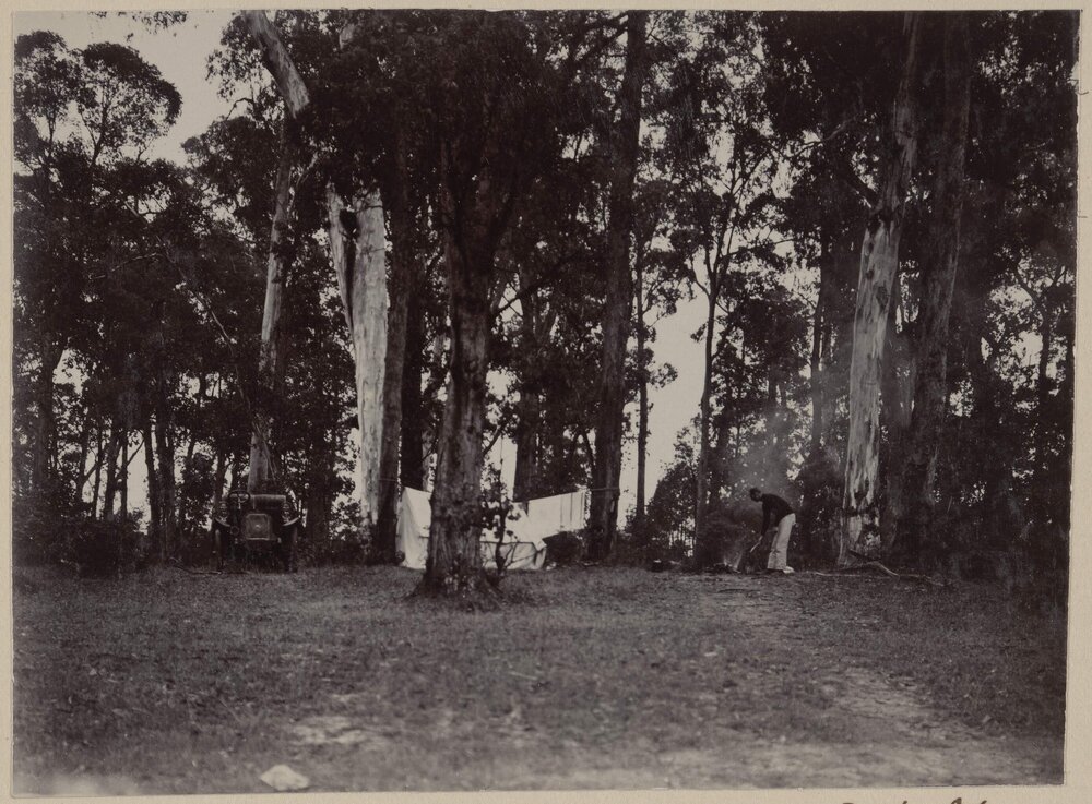 [Tent set up behind trees]