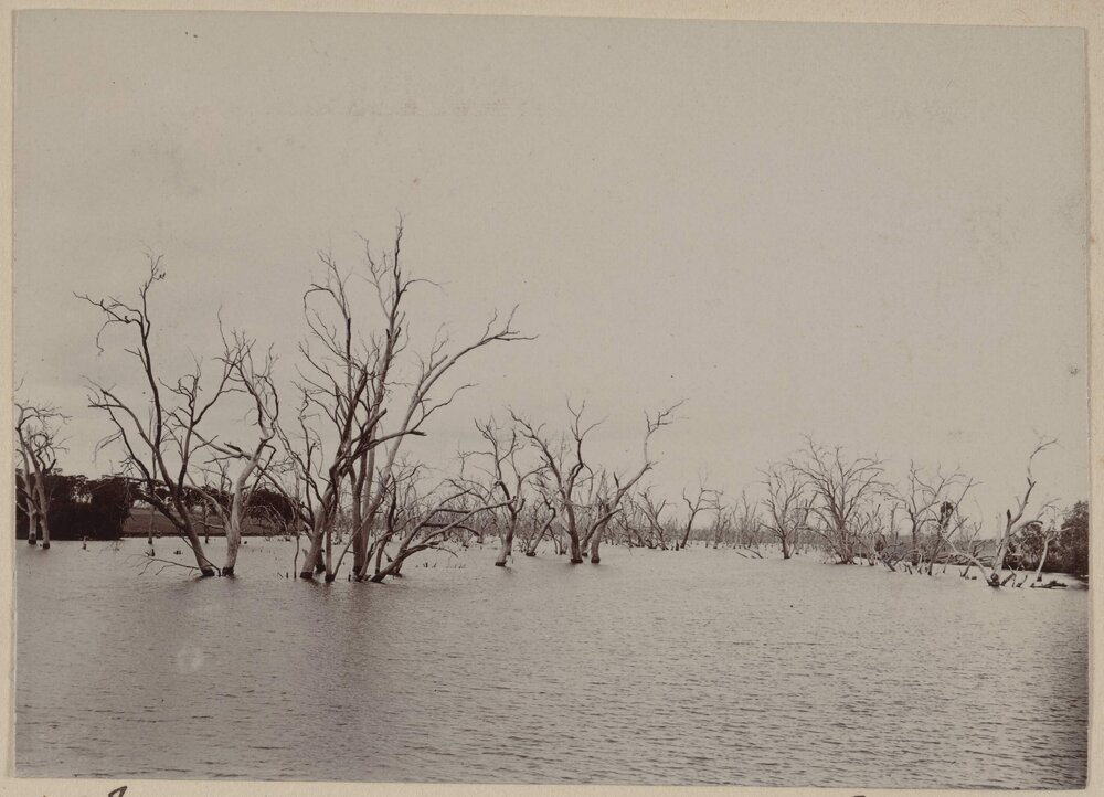 Looking up stream from the weir