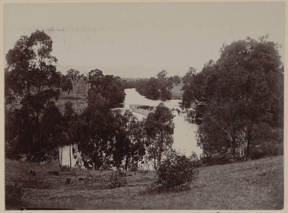 Goulburn River from the Seymour Road