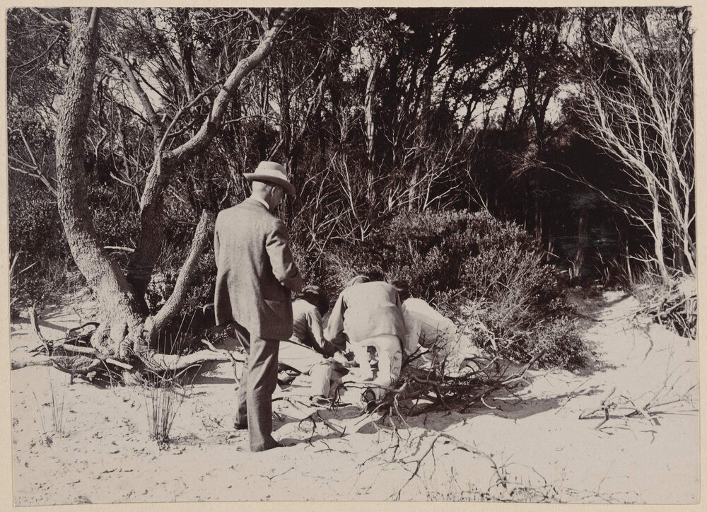 Making the Billy Fire, Coolart