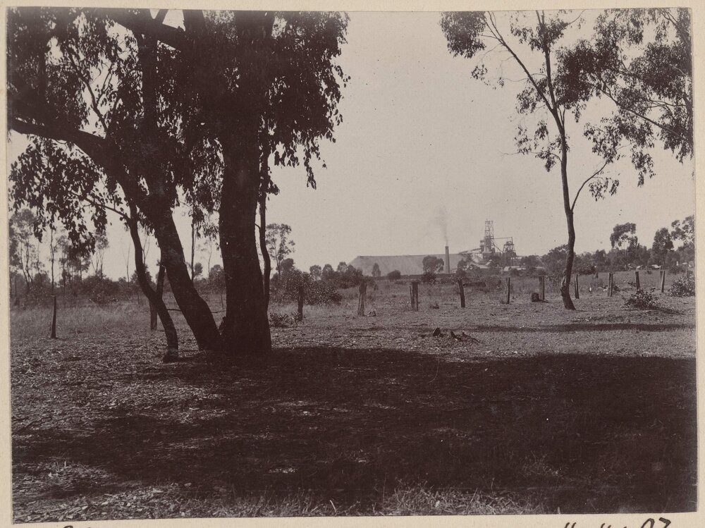 Great Southern Gold Mine, Rutherglen