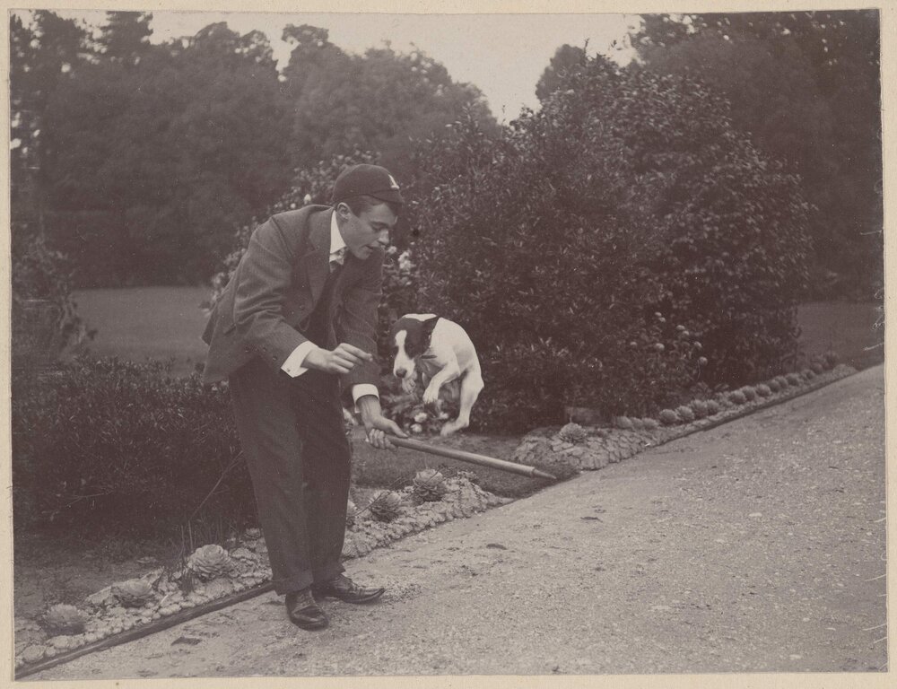 [Man with dog jumping over stick, Harleston]