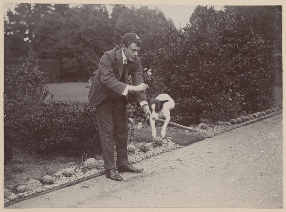 Harleston [man with dog jumping over stick]