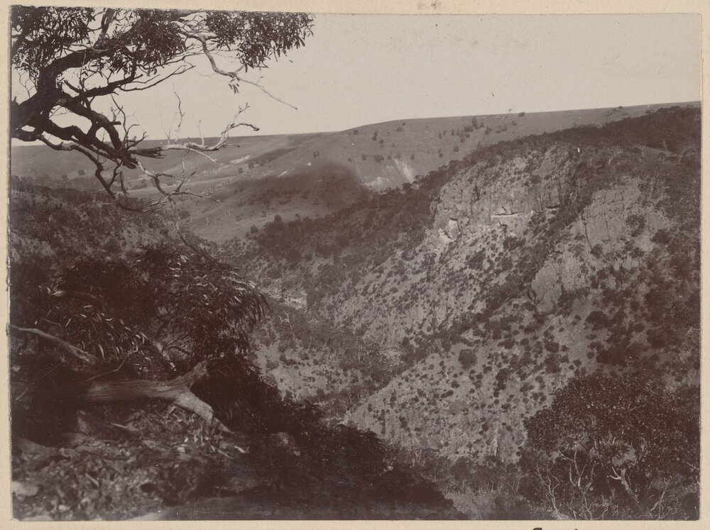 [Werribee Gorge]