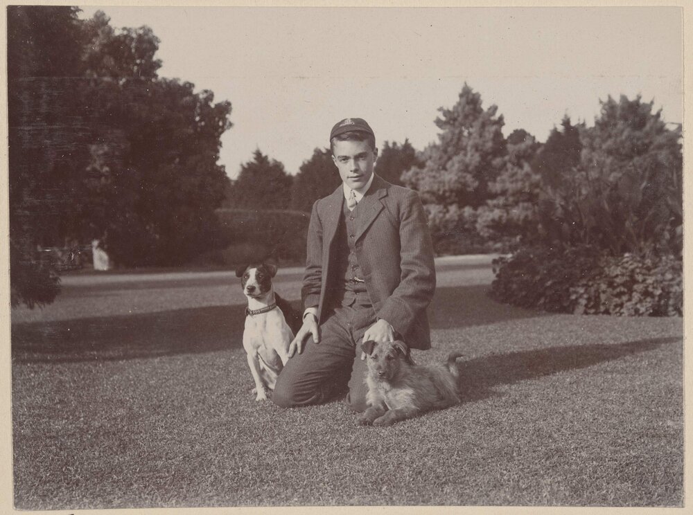 [Young man kneeling on grass with two dogs]