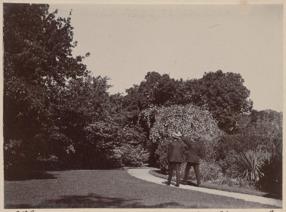 [Two men photographed from behind walking on garden path]