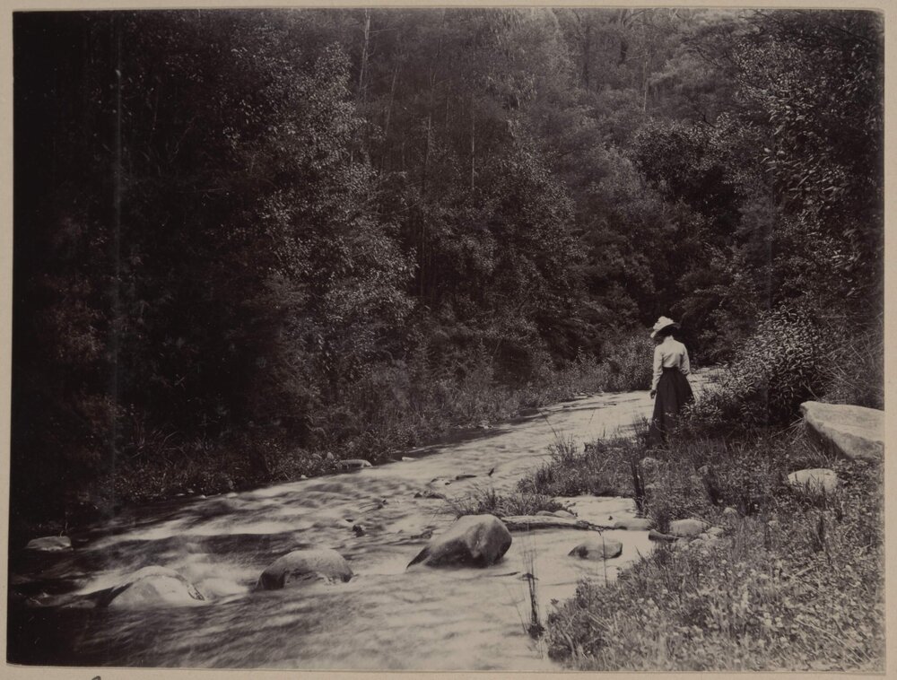 The Graceburn [weir]