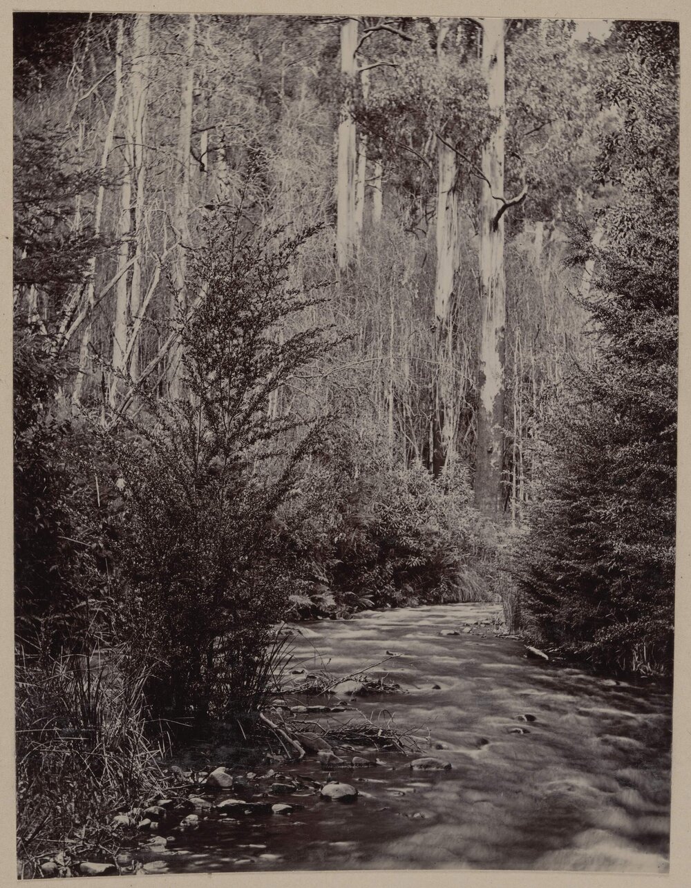 The Graceburn [weir]