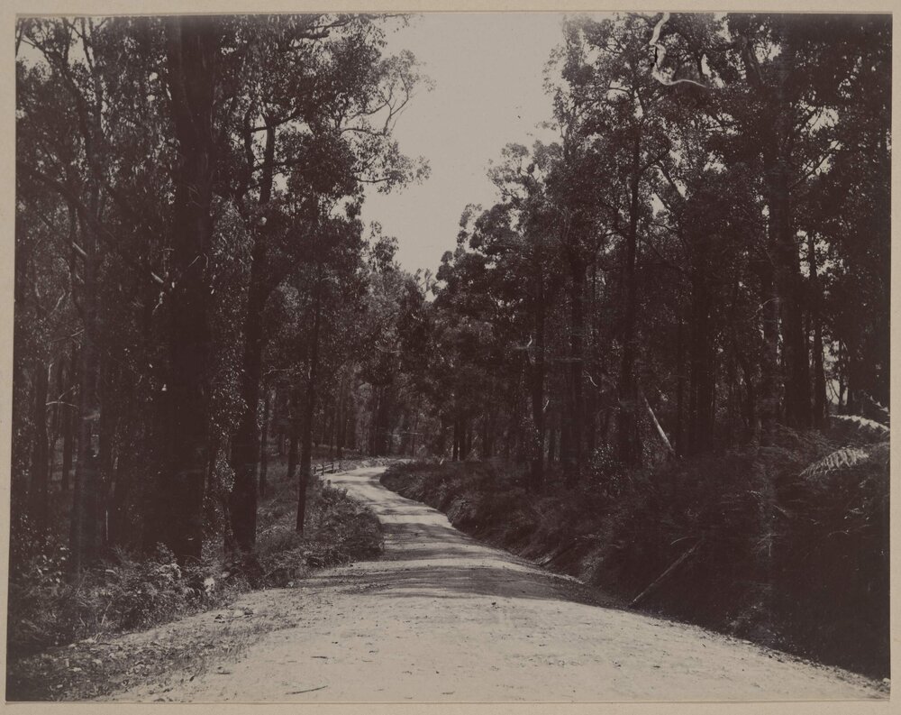 On the road to Fernshaw