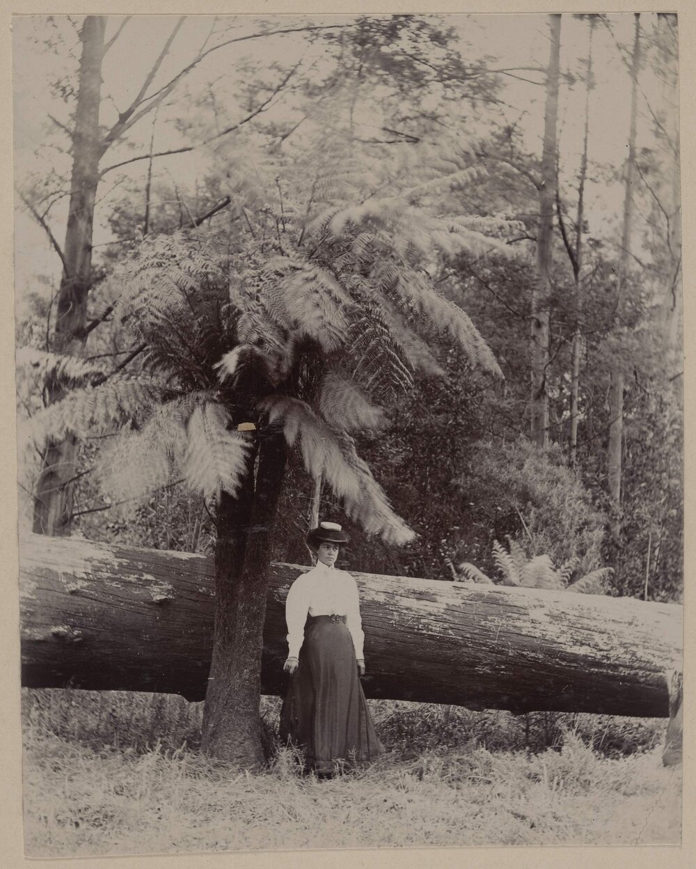 [Woman standing under large fern]