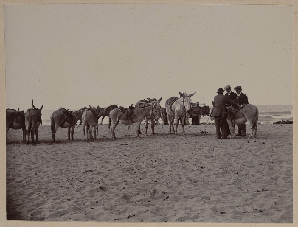 Somner near Christchurch