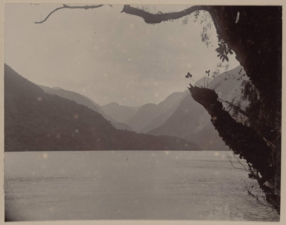 Lake Alice, George Sound