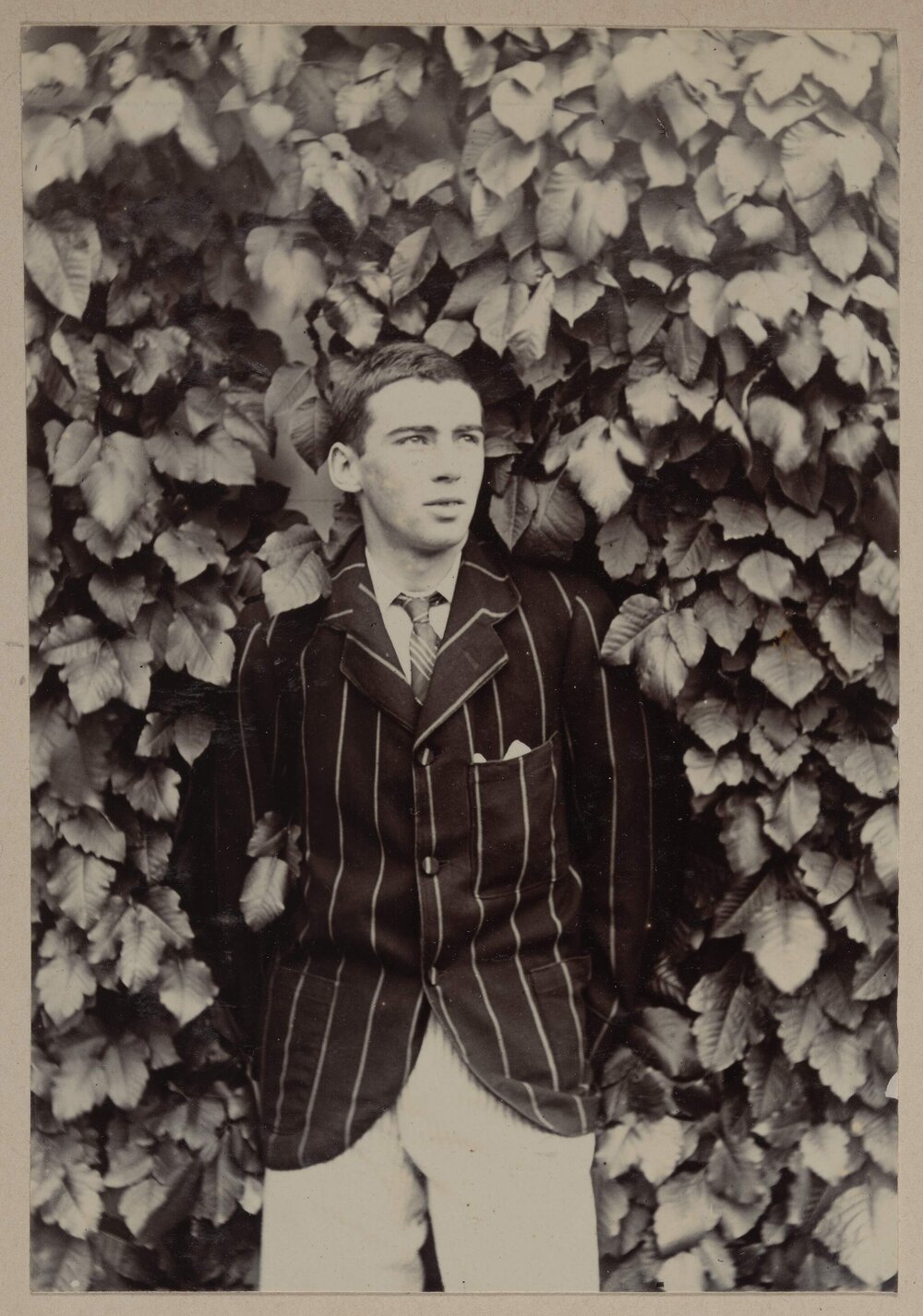 Harleston [young man wearing striped blazer]