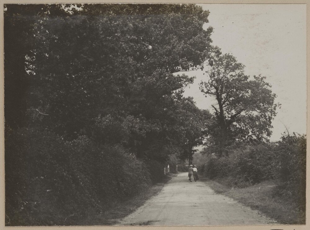 [Two women walking away from camera]