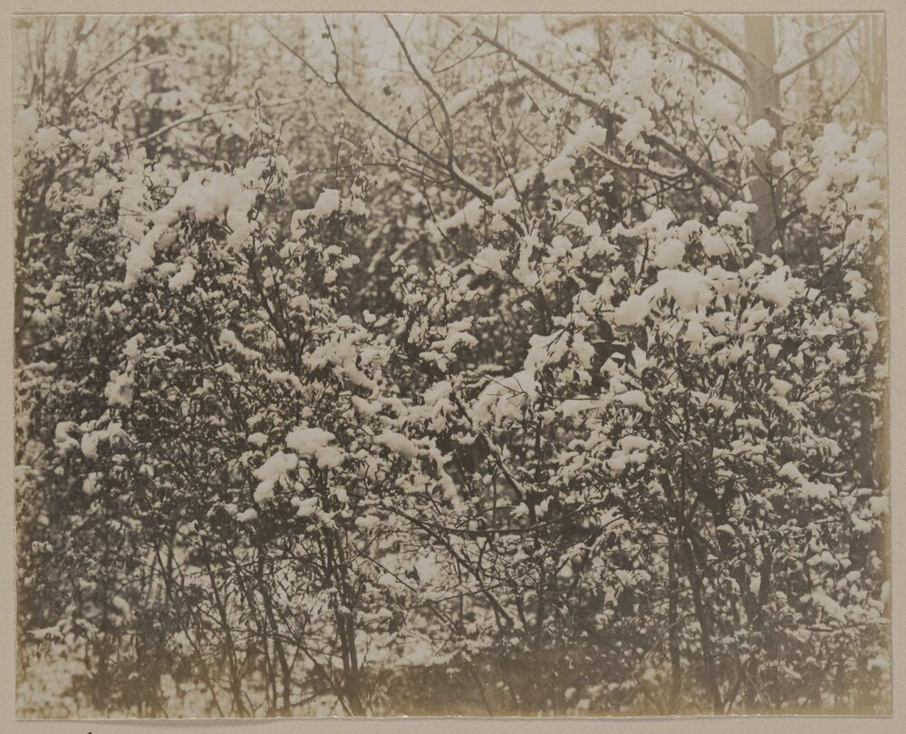 Banff [Alberta, Canada]