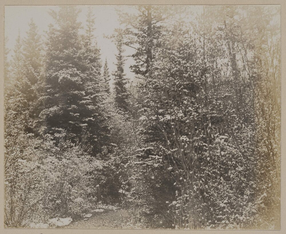 Banff [Alberta, Canada]