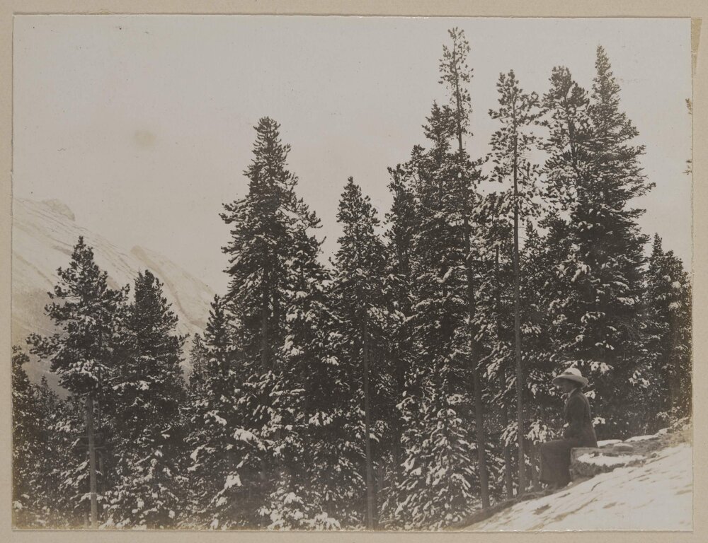 From Sulphur Springs - Banff [Canada]