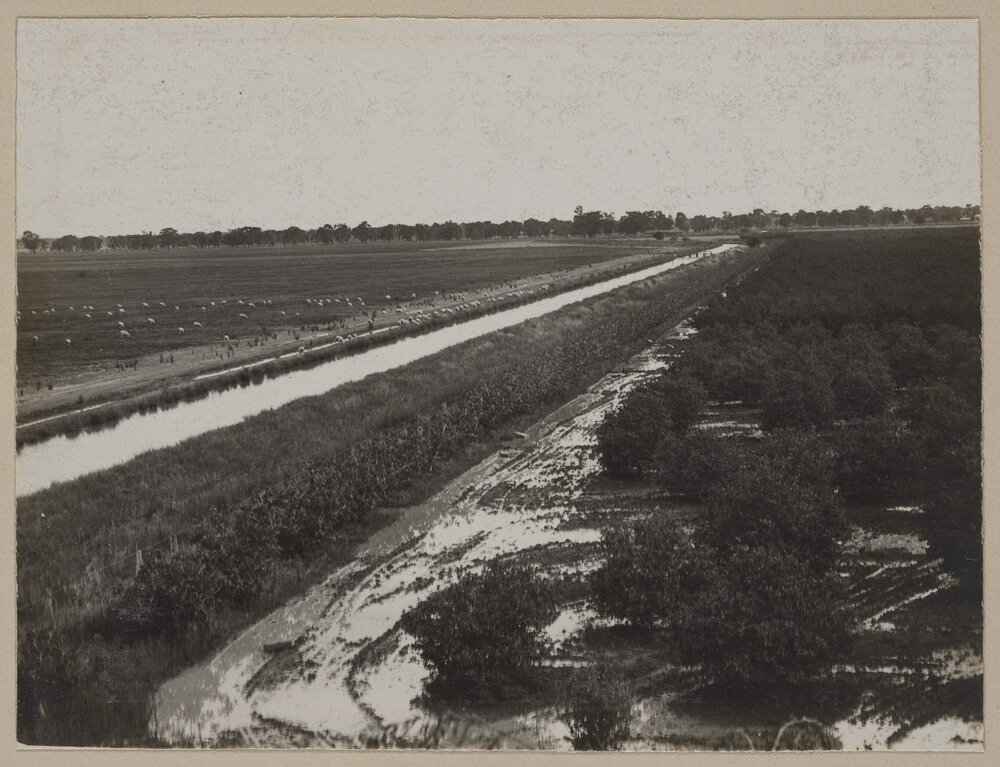 [Brae Channel, Kyabram]