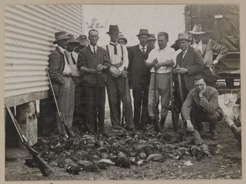 The Guns and bag [hunting]