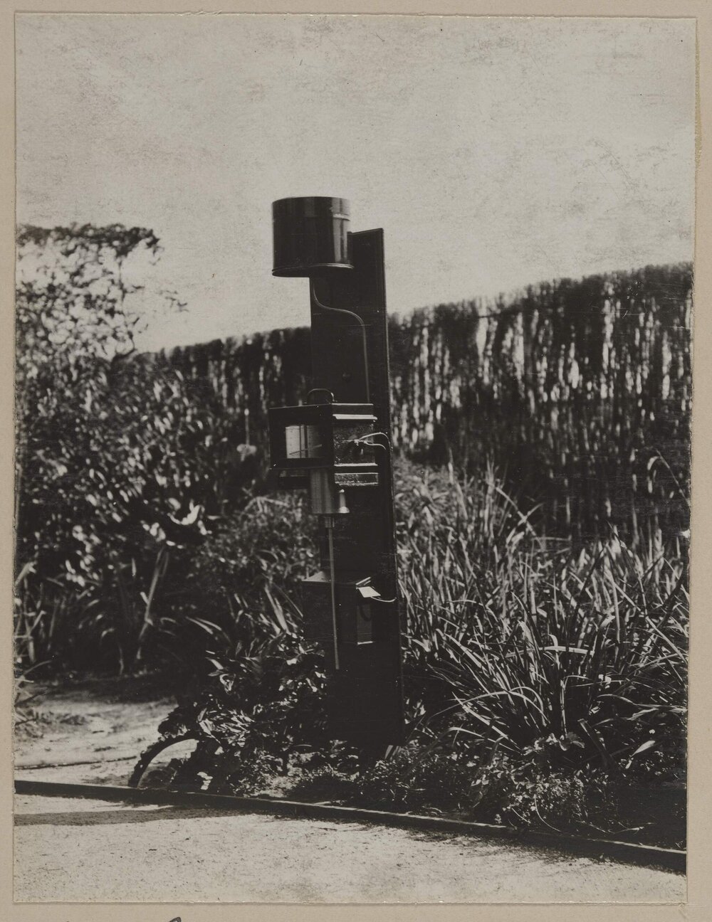 The Pluviometer, Miegunyah