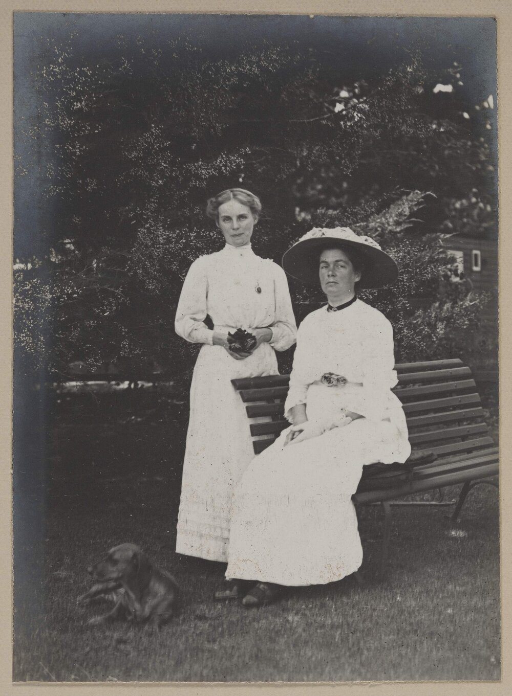 At Montpellier Macedon