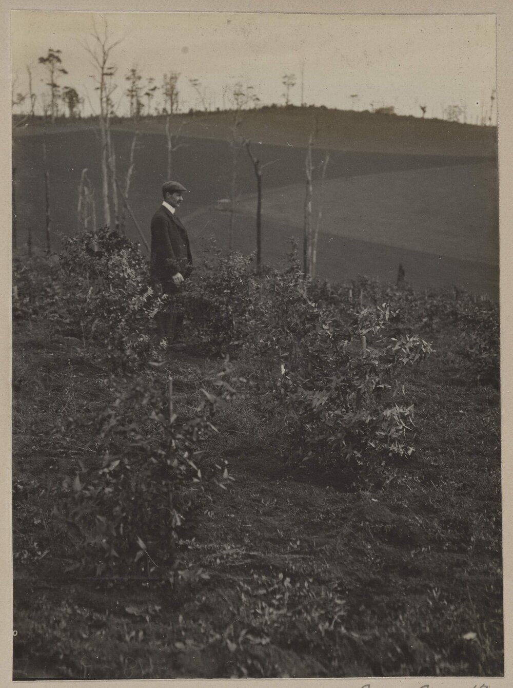 [Man at Emerald Farm]