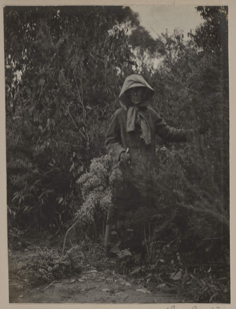 [Woman at Emerald Farm]