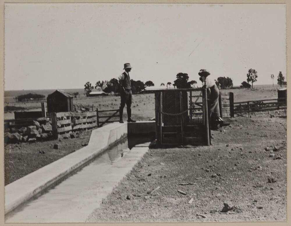 [Man and woman standing at plunge sheep dip]