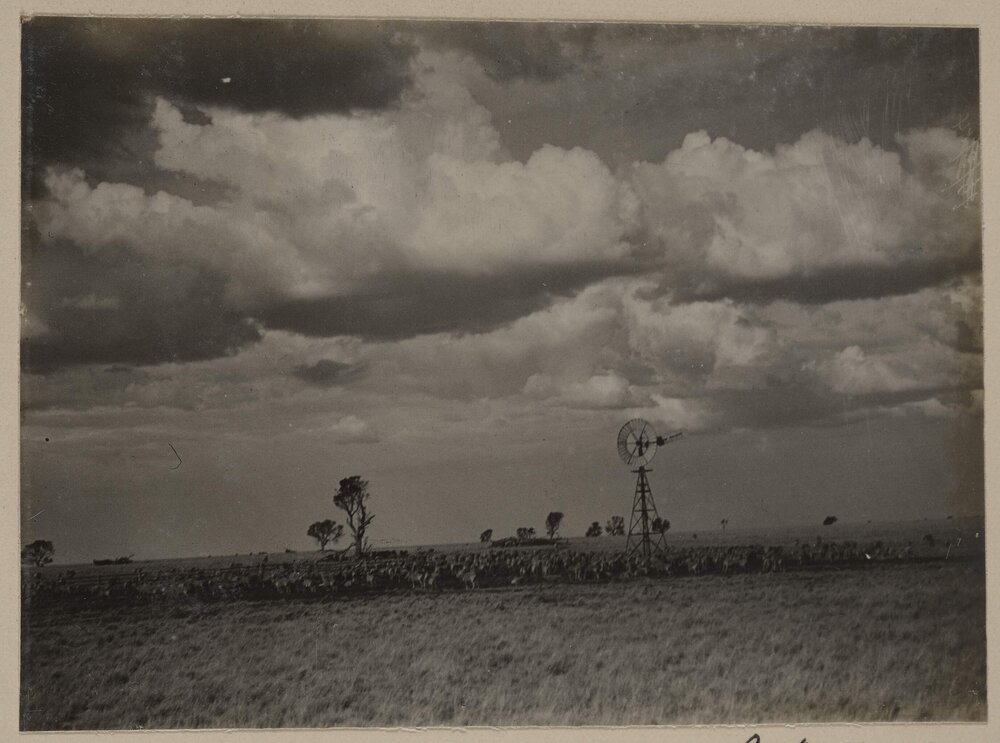 [Windmill in farm paddock]