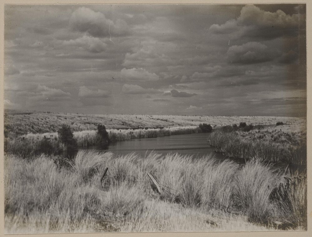 [River through paddock]