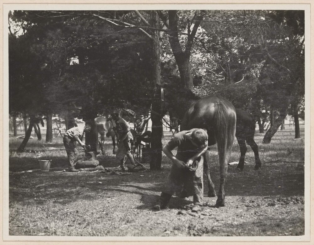 [Farrier putting shoe on horse]