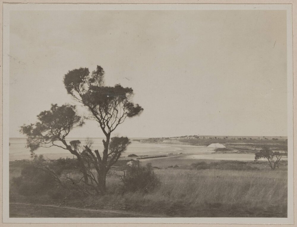 Lake Bumbunga, South Australia