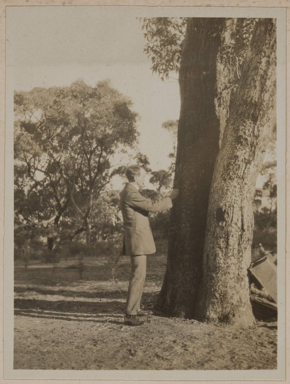 Luke Forester and his trees