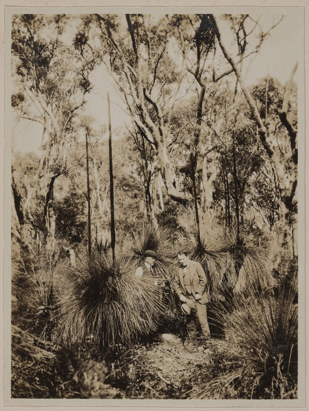 [Two men standing next to grass trees]