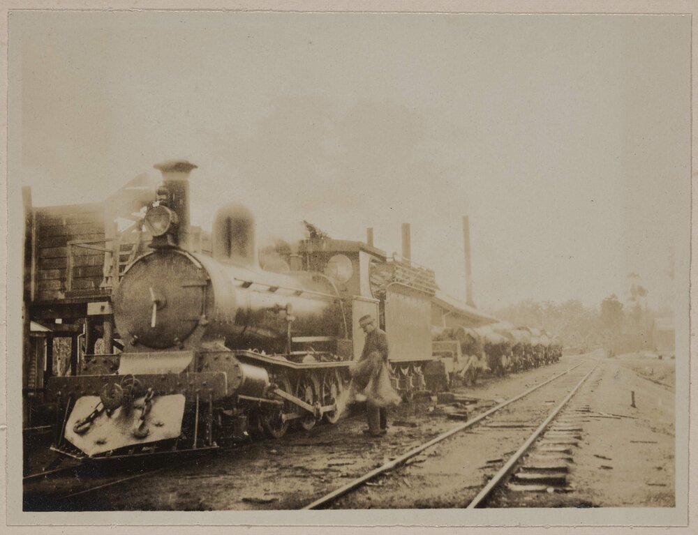 A log train at Jarrahdale [Western Australia]