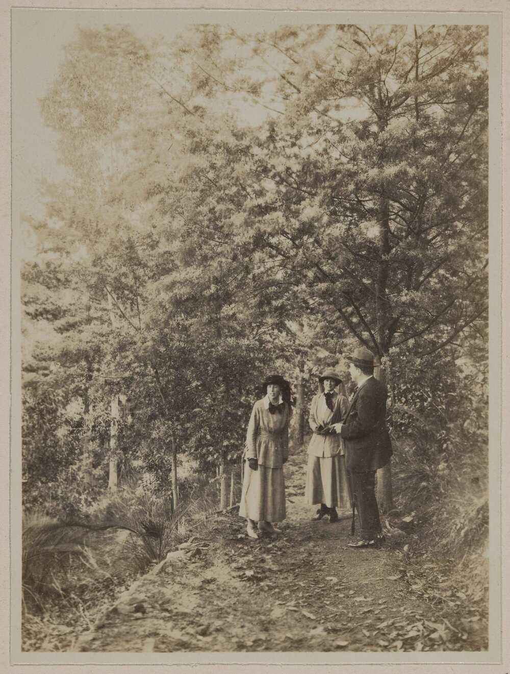 At Mundaring Weir [Western Australia]