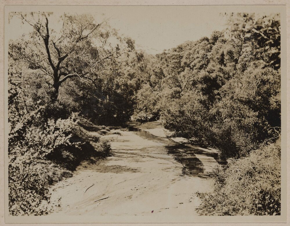 [View of gravel road with trees either side]