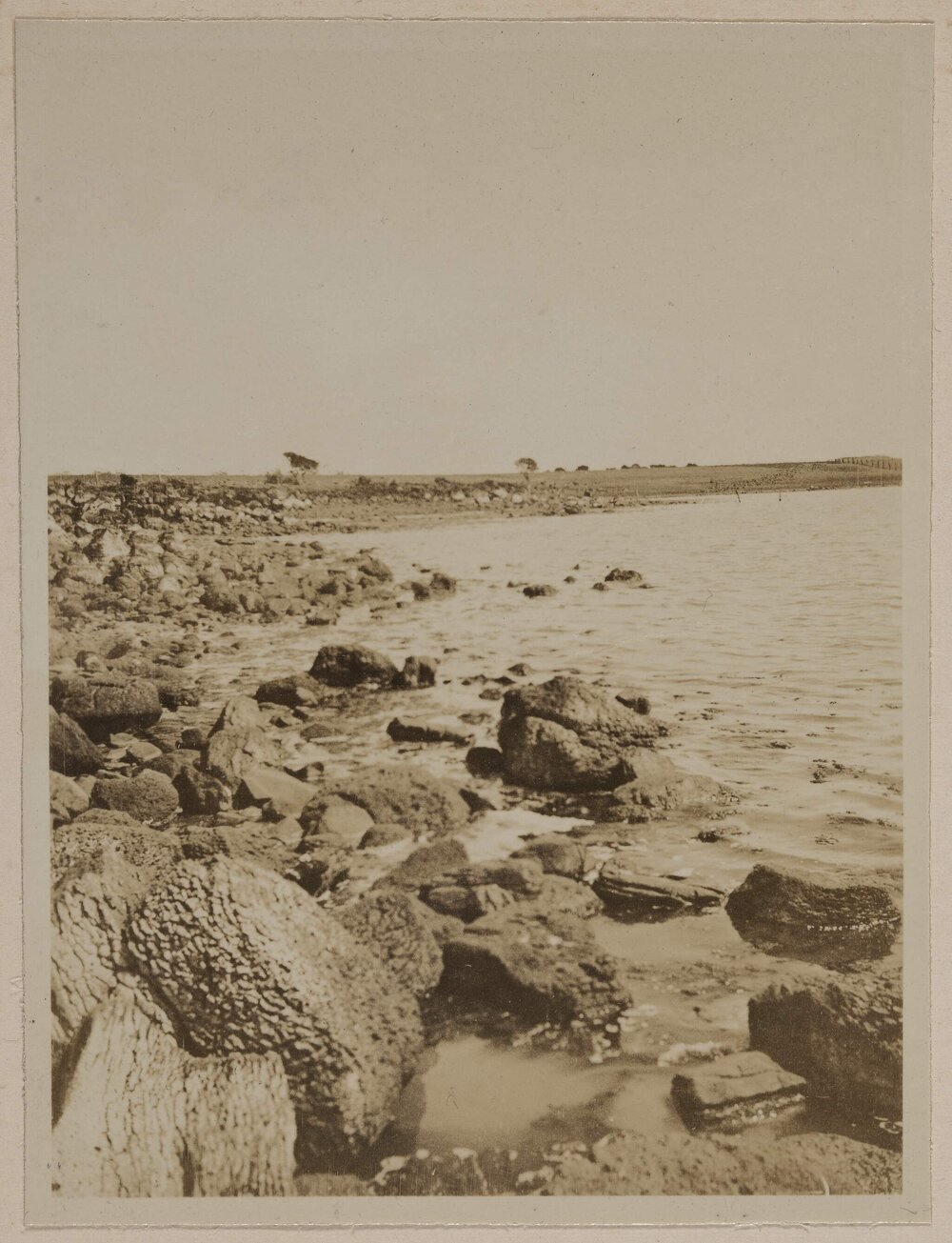 [Lake Corangamite, Victoria]