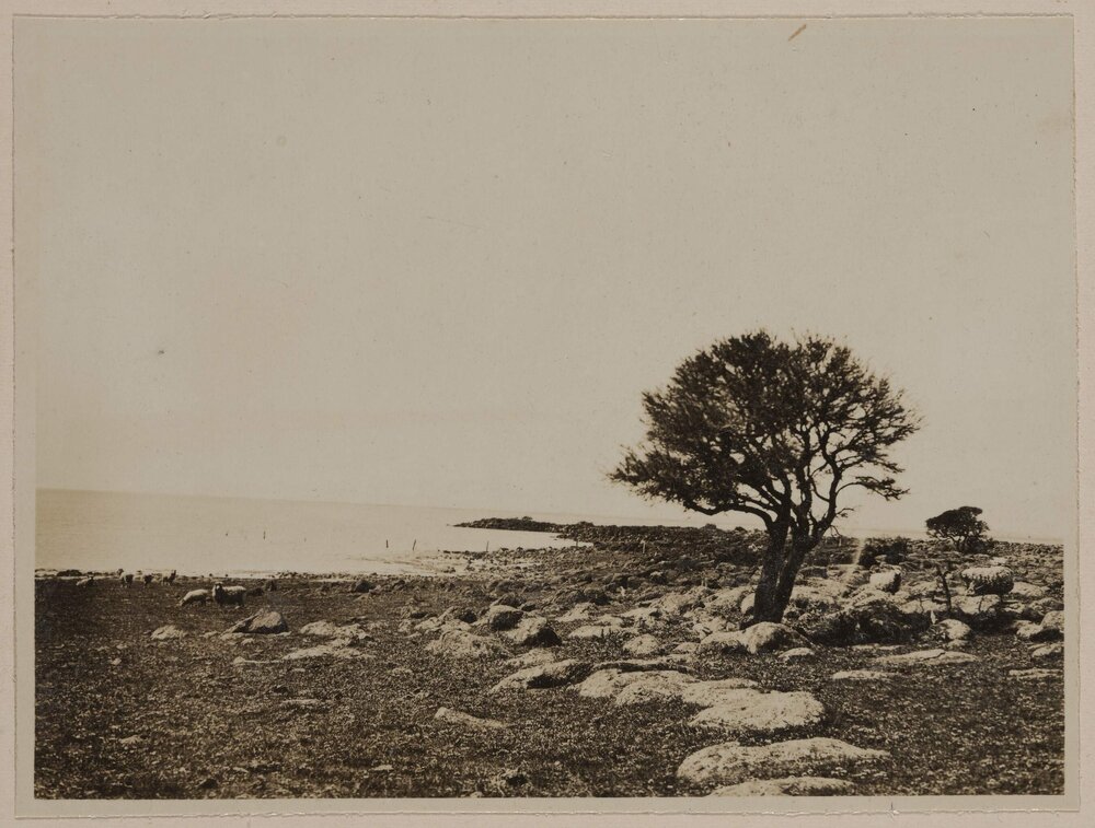 Lake Corangamite [Victoria]