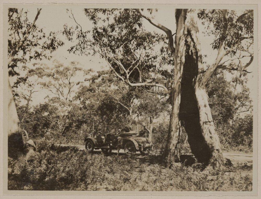 The Stony Rises [Colac, Victoria]