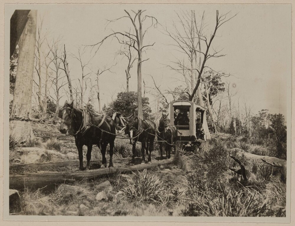 On the way to Great Lake Tasmania, [horse drawn tramway]