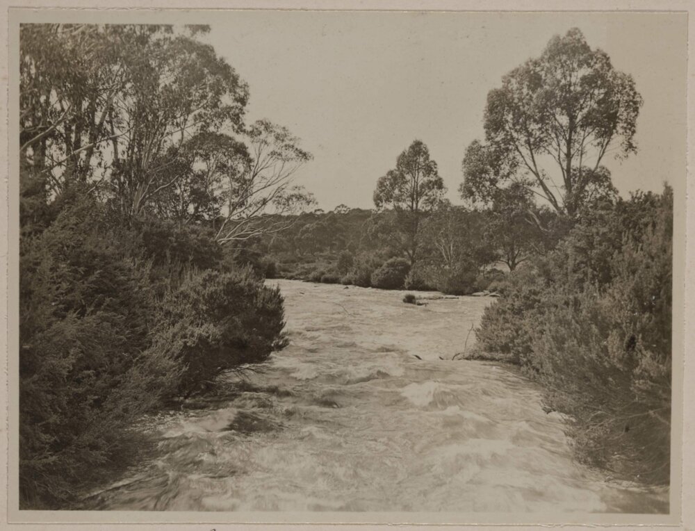 Shannon River flowing from Great Lake, Tasmania