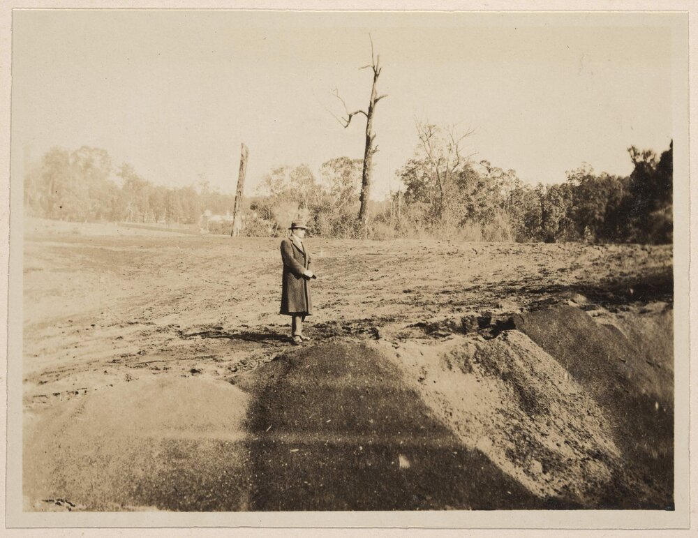 One of the saw dust heaps [Jarrahdale, Western Australia]
