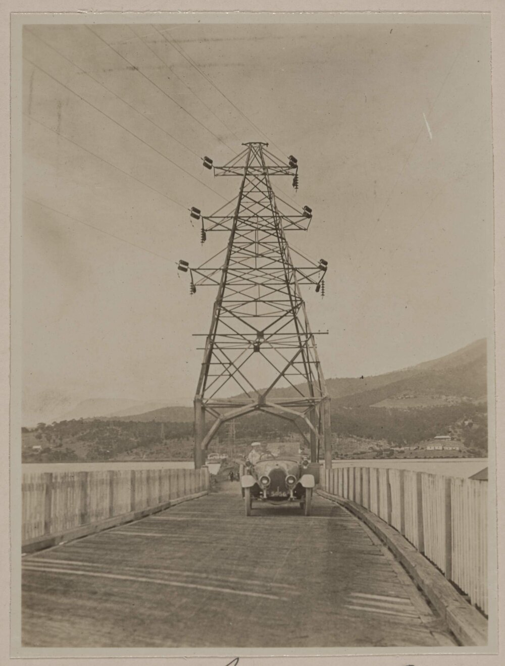 Thistle at Bridge water [on way] to Hobart